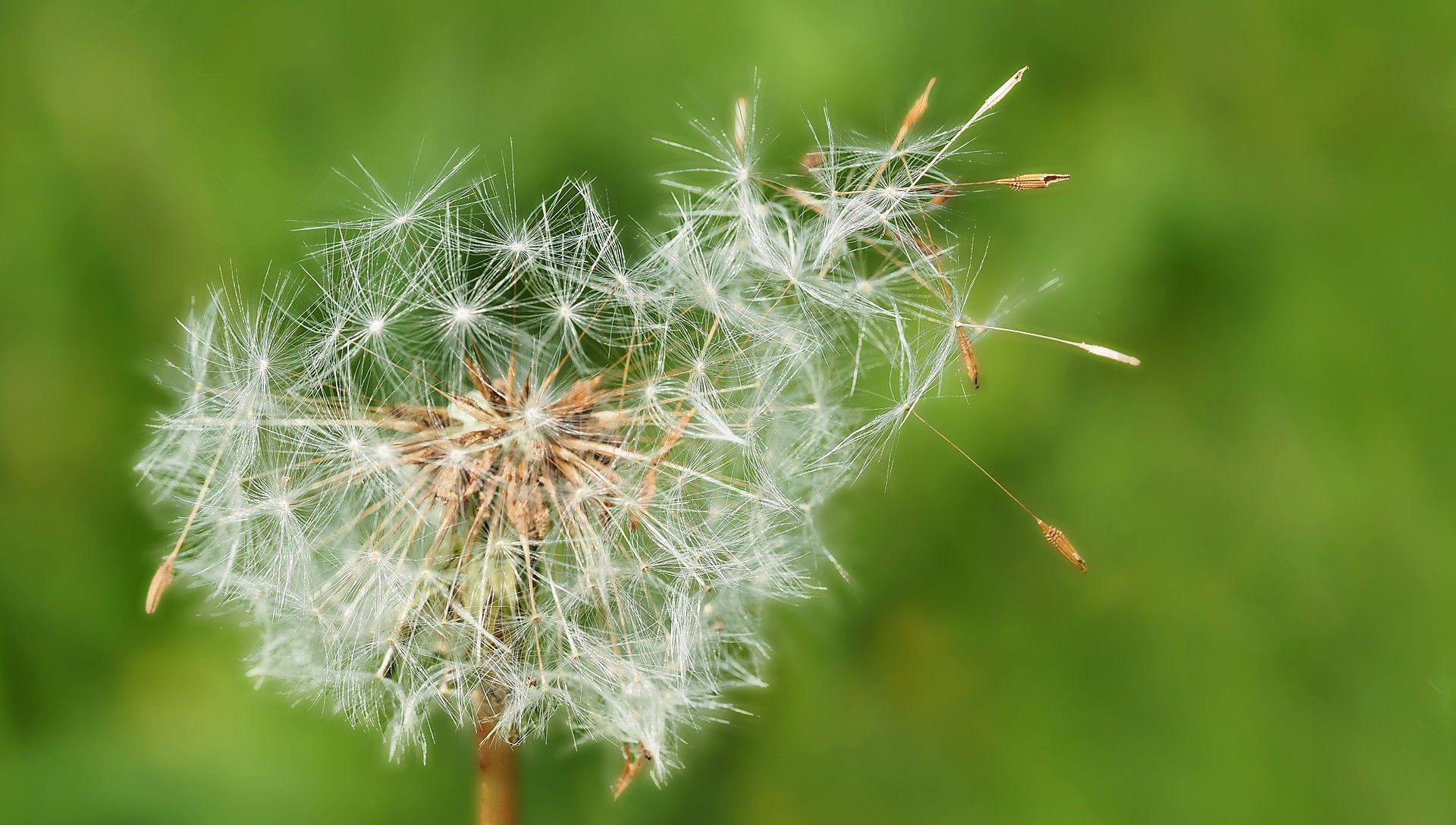 Ihre Raumluft dient durch die Art der Wärmebildung unserer Heizleiste nicht mehr als Wärmeträger. Durch das grundsätzliche Vermeiden von Luftströmungen (durch Heizungsluft) kann das Aufwirbeln von Staub und Pollen vermieden werden. Die Luftfeuchtigkeit bleibt im normalem Bereich. Die Belastung der Atemwege geht deutlich zurück. Die Sockelheizleisten nennt man auch Randleistenheizung, Leistenheizung, Sockelheizung, Fussleistenheizung, Heizsockel oder auch Sockelleistenheizkörper bzw. einfach Sockelheizleiste.